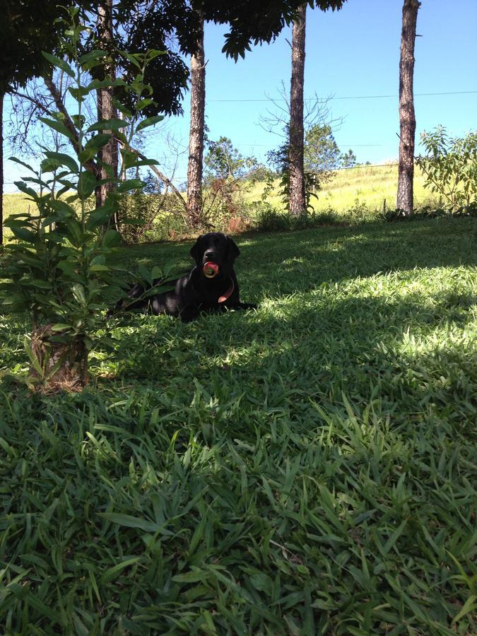 Recanto Das Borboletas São Roque Buitenkant foto