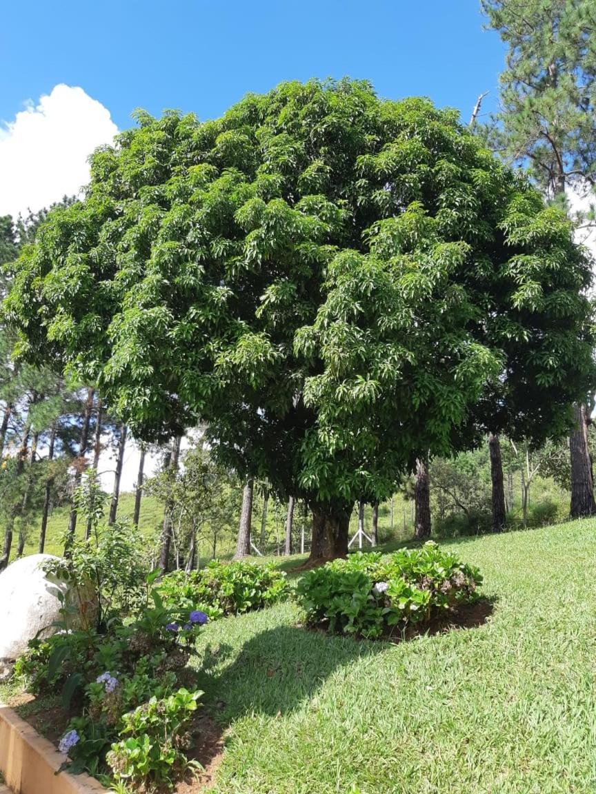 Recanto Das Borboletas São Roque Buitenkant foto